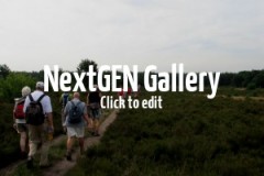 4-Daagse-Apeldoorn-003.jpg-nggid03135-ngg0dyn-300x200x90-00f0w010c011r110f110r010t03jpg