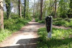 1_2025-04-19-Zeemandsloop-29