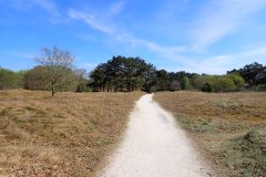 1_2025-04-19-Zeemandsloop-36