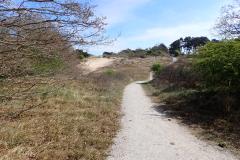 1_2025-04-19-Zeemandsloop-37