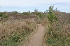 P4190019