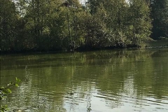 thumbs_IMG_09221