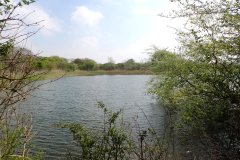 2022-04-23-Den-Haag-Zeemansloop-31-km-89