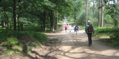 4 Daagse van Apeldoorn 2007