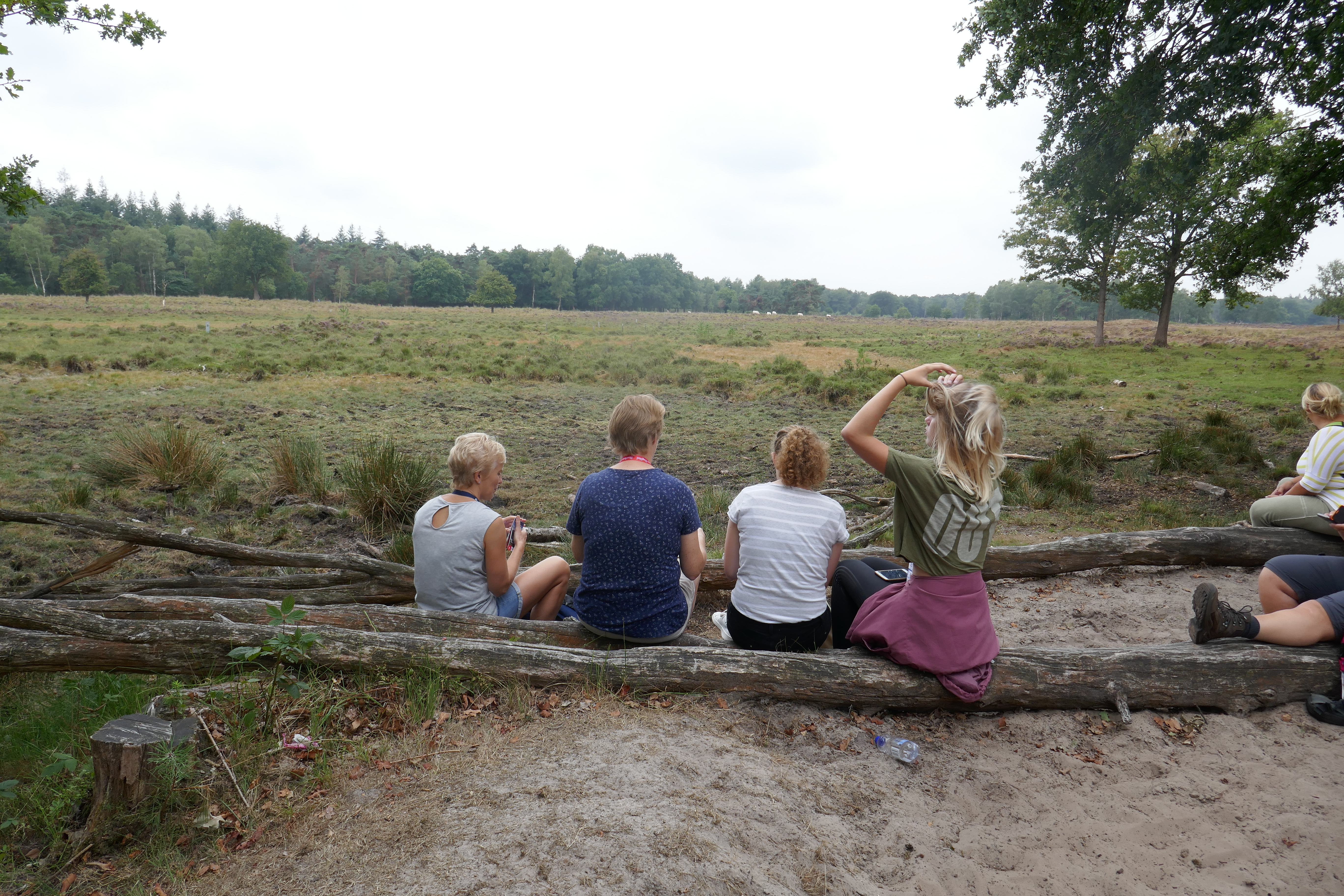 Soester wandelweekend