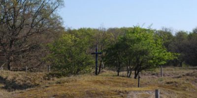 Wandelverslag van Roger Thijs