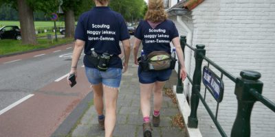 Gooise wandelvierdaagse 2019