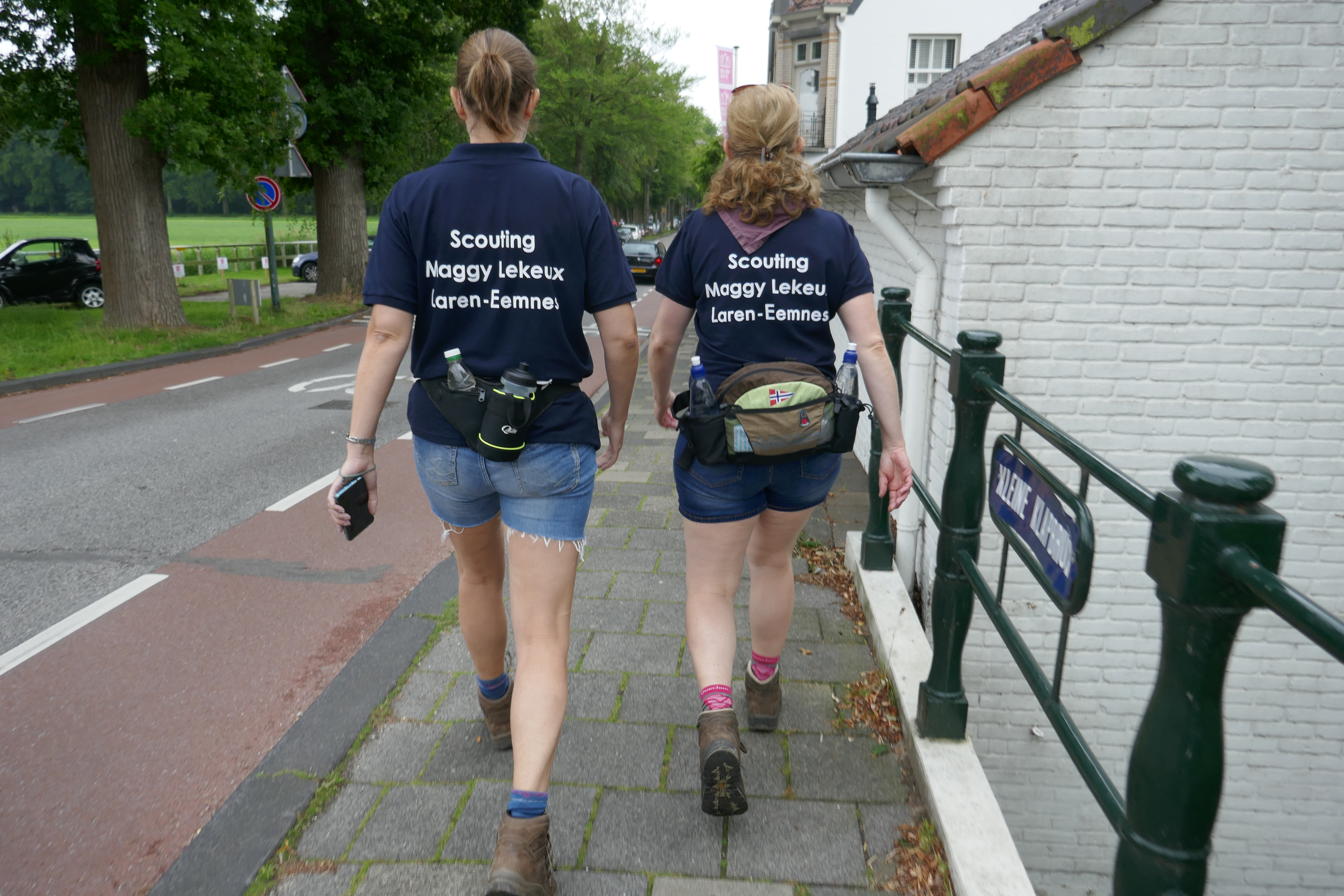 Gooise wandelvierdaagse 2019